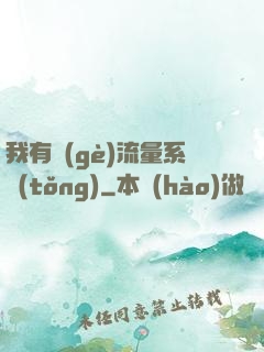 我有個(gè)流量系統(tǒng)
