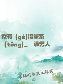 我有個(gè)流量系統(tǒng)