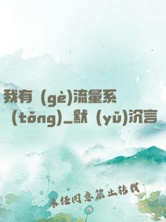 我有個(gè)流量系統(tǒng)