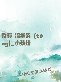 我有個流量系統(tǒng)