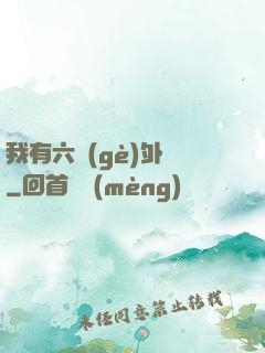 我有六個(gè)外掛