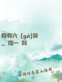 我有六個(gè)外掛