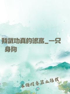 我武功真的很高