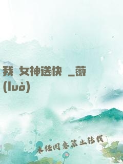 我為女神送快遞