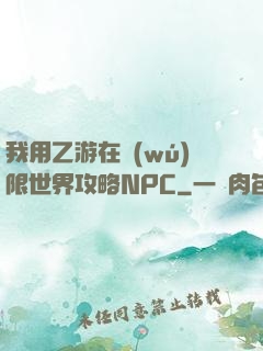我用乙游在無(wú)限世界攻略NPC