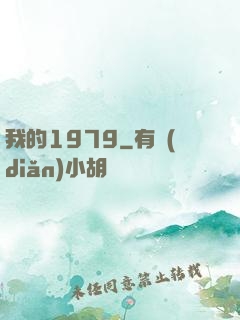 我的1979