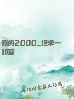 我的2000