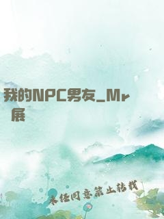我的NPC男友