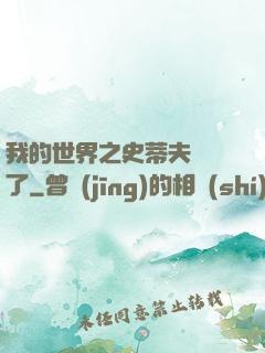 我的世界之史蒂夫無敵了
