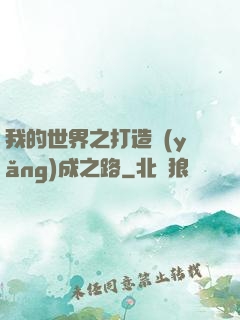 我的世界之打造養(yǎng)成之路