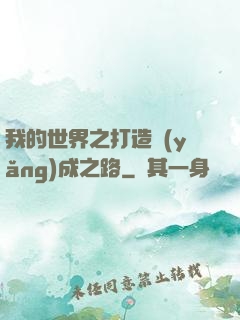 我的世界之打造養(yǎng)成之路