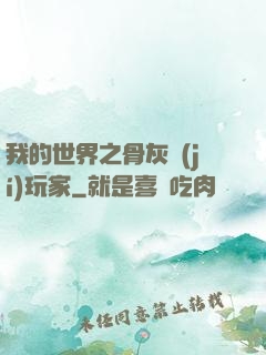 我的世界之骨灰級(jí)玩家