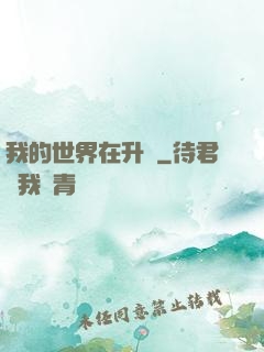 我的世界在升級