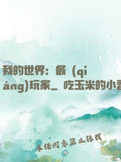 我的世界：最強(qiáng)玩家
