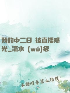 我的中二日記被直播曝光