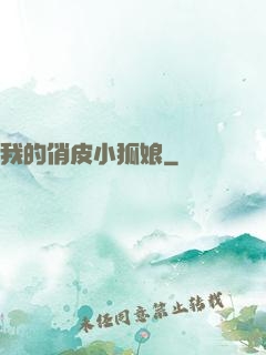 我的俏皮小狐娘