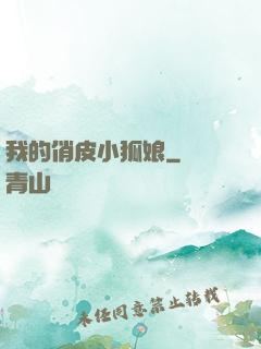 我的俏皮小狐娘