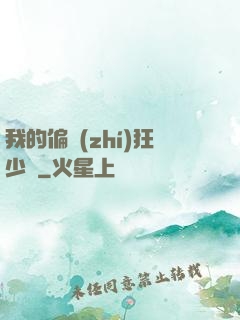 我的偏執(zhí)狂少爺