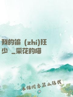 我的偏執(zhí)狂少爺