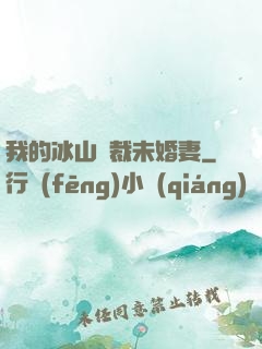 我的冰山總裁未婚妻