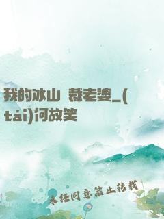 我的冰山總裁老婆