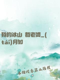 我的冰山總裁老婆
