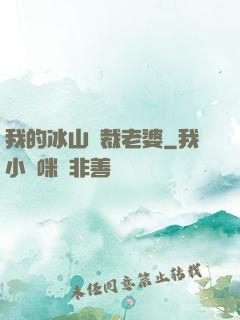 我的冰山總裁老婆