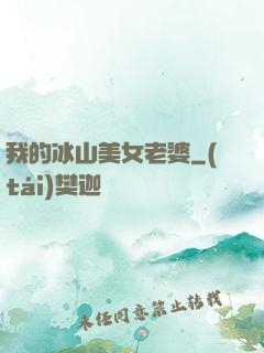 我的冰山美女老婆