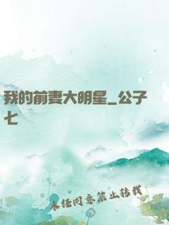 我的前妻大明星