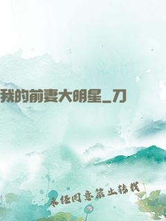 我的前妻大明星