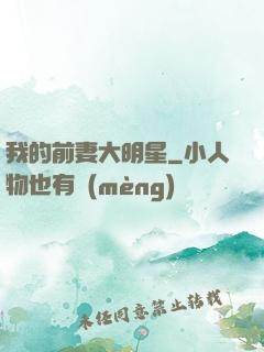 我的前妻大明星