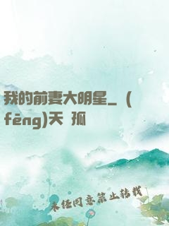 我的前妻大明星
