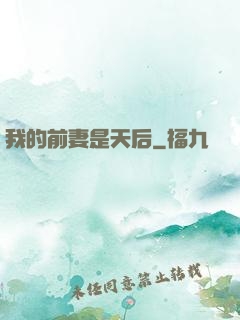 我的前妻是天后
