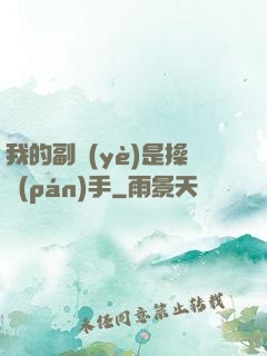 我的副業(yè)是操盤(pán)手