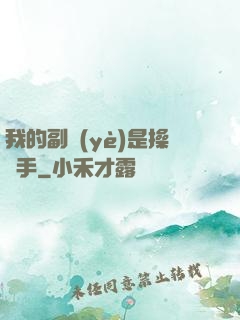 我的副業(yè)是操盤手