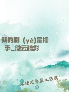 我的副業(yè)是操盤手