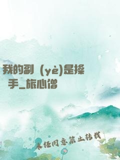 我的副業(yè)是操盤手
