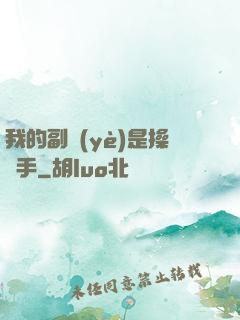 我的副業(yè)是操盤手