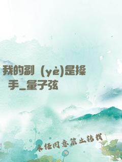我的副業(yè)是操盤手