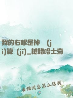 我的右眼是神級計(jì)算機(jī)