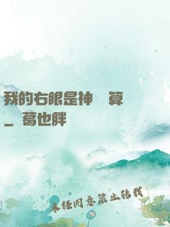 我的右眼是神級計算機