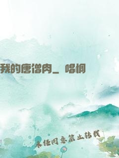 我的唐僧肉