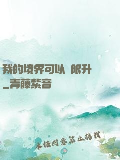 我的境界可以無限升級