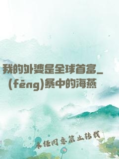 我的外婆是全球首富