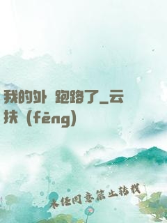 我的外掛跑路了