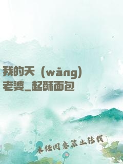 我的天網(wǎng)老婆