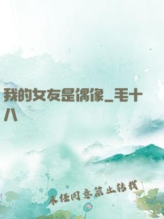 我的女友是偶像