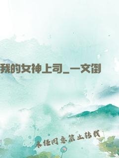 我的女神上司