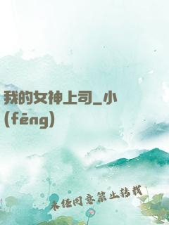 我的女神上司