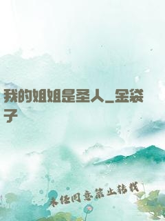 我的姐姐是圣人